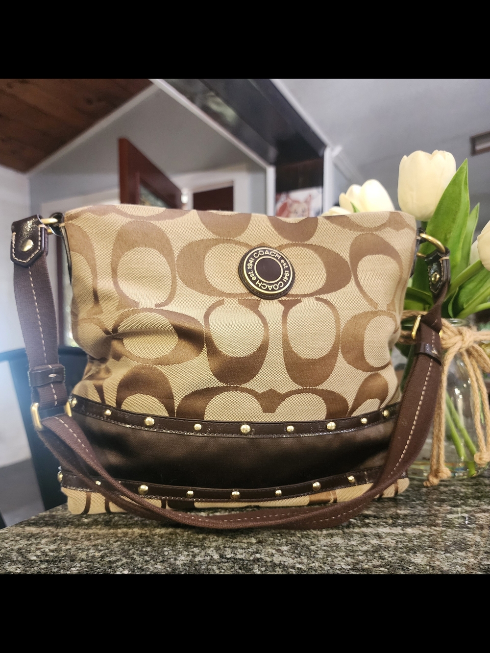 Coach Signature Canvas Brown Shoulder Bag
